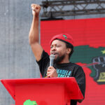 Mbuyiseni Ndlozi’s New Role: Exploring His Next Chapter.